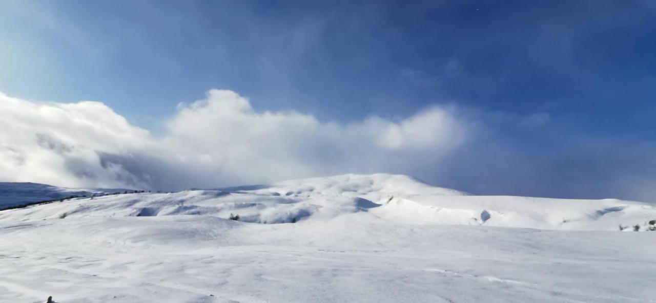 Mlodge - The Mountain Lodge Sogndal Dış mekan fotoğraf